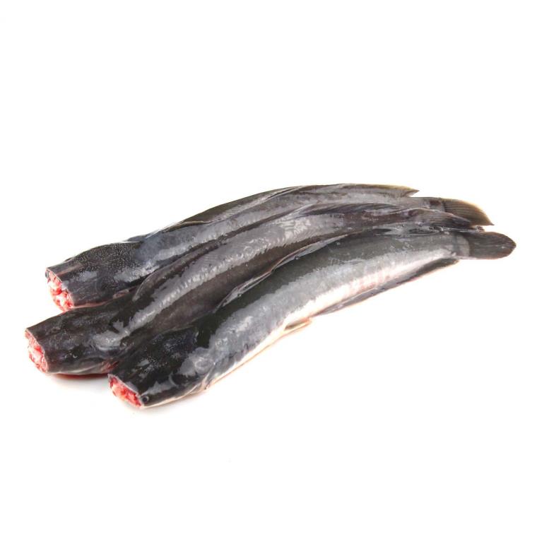 Ikan Keli (siap siang)